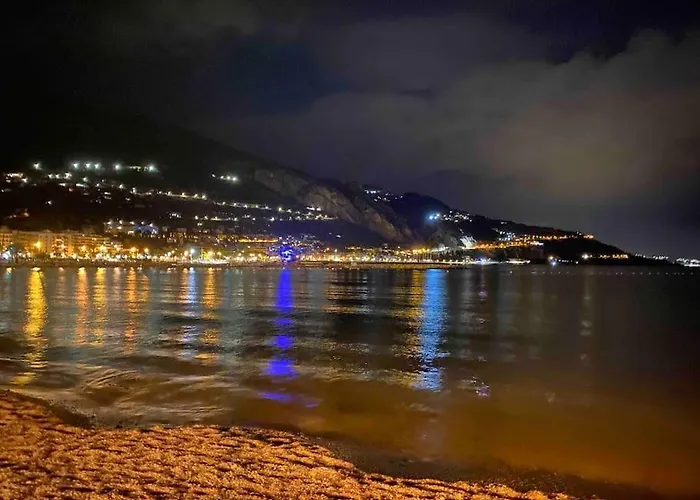 Le Palmero Centre Ville, Plage, Clim דירה מנטון