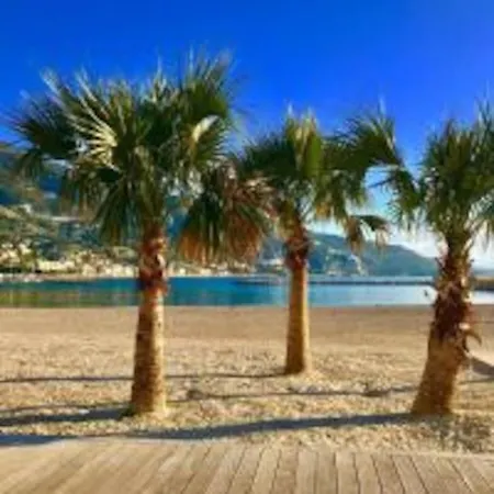 Lejlighed Le Palmero Centre Ville, Plage, Clim *