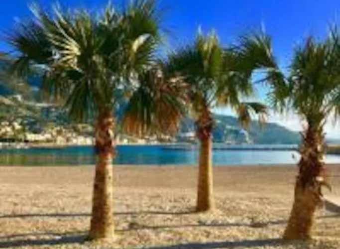 Apartment Le Palmero Centre Ville, Plage, Clim *