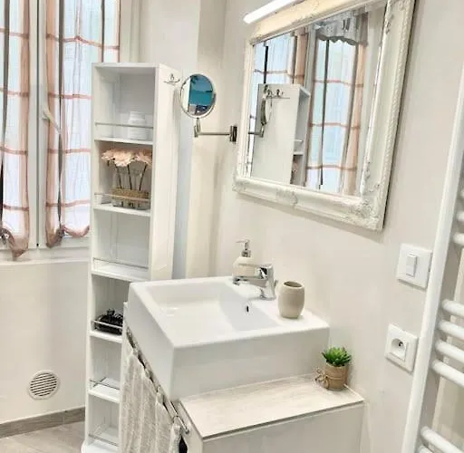 Appartement Le Palmero Centre Ville, Plage, Clim *